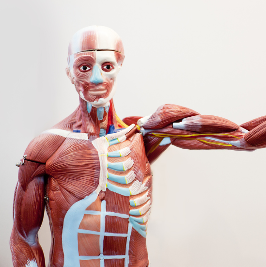 Design ohne Titel (4)-1